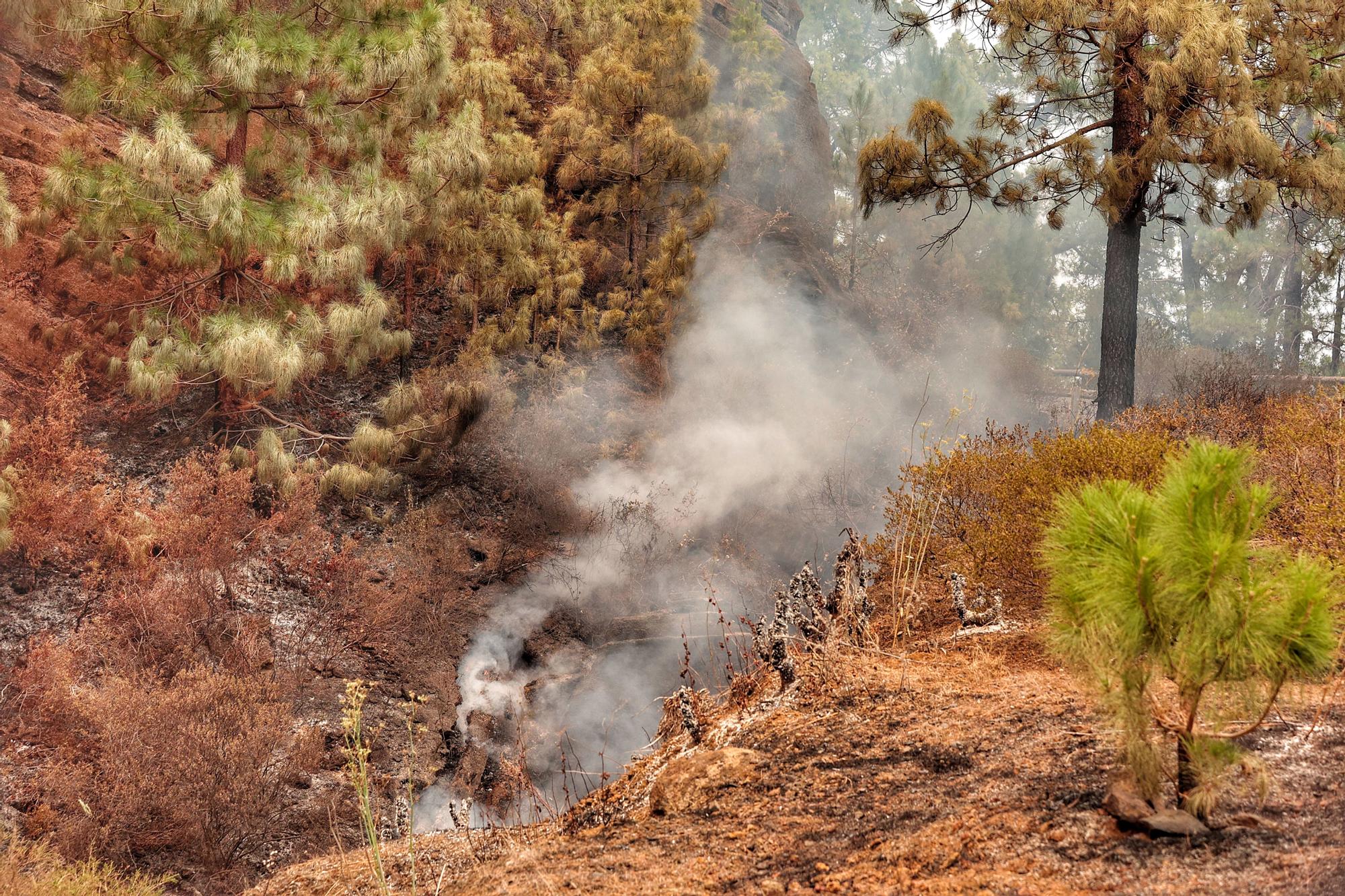 Evolución del incendio en Tenerife