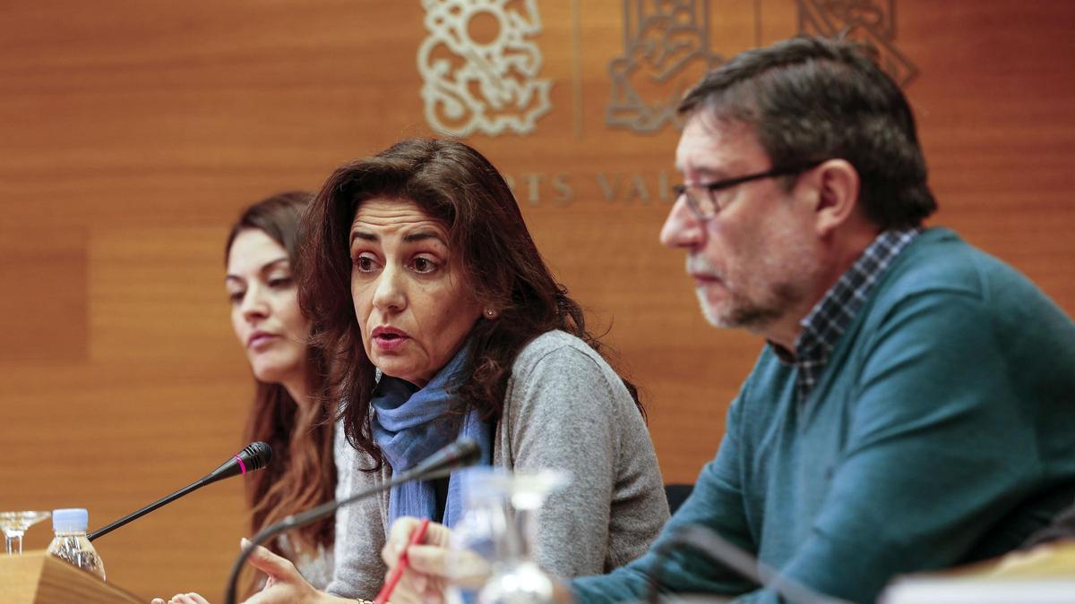 La exconsellera Angélica Such, en una comparecencia en una comisión de las Corts en 2017