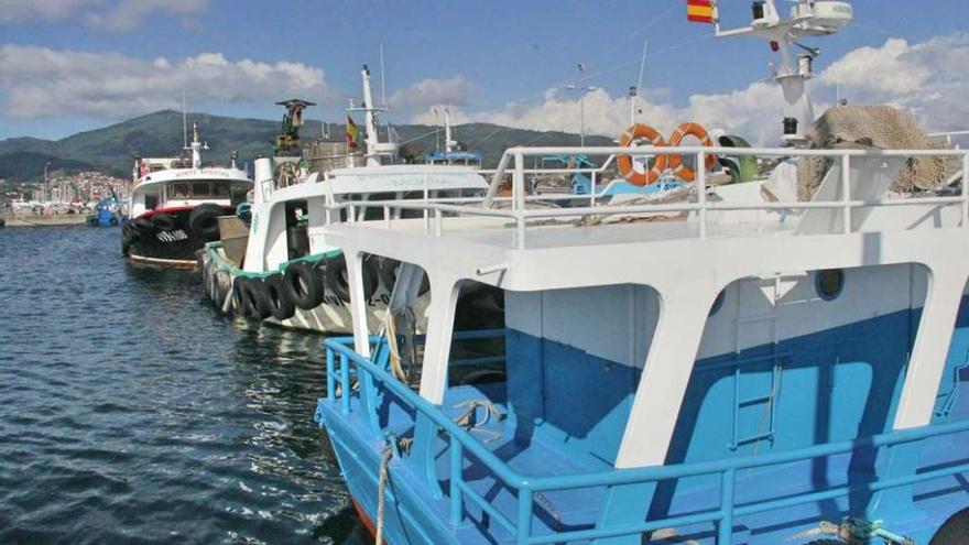 Los bateeiros, abarloados en el muelle de A Mosqueira.