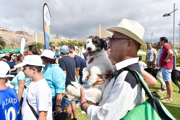 II Feria de mascotas, en Maspalomas