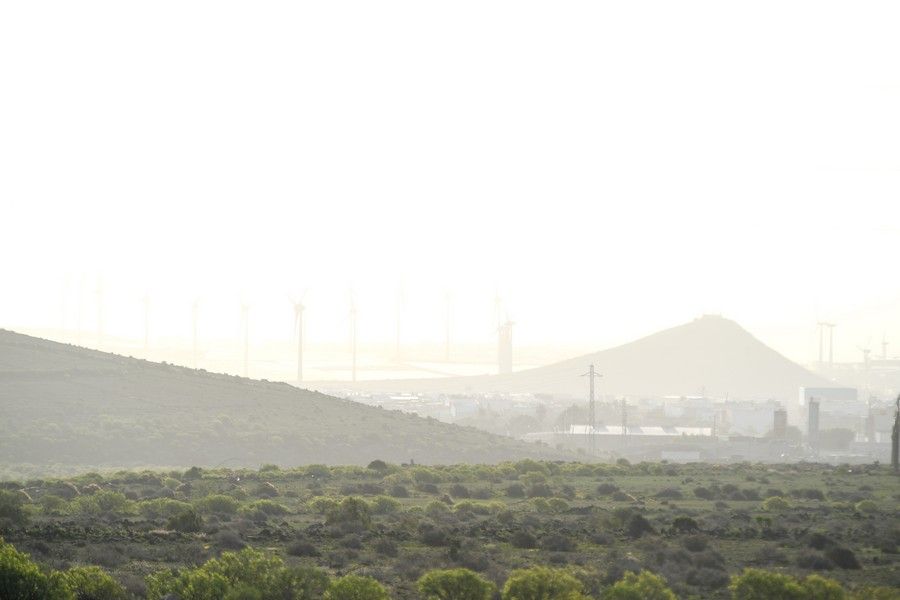 Calima en Gran Canaria (15/02/2021)