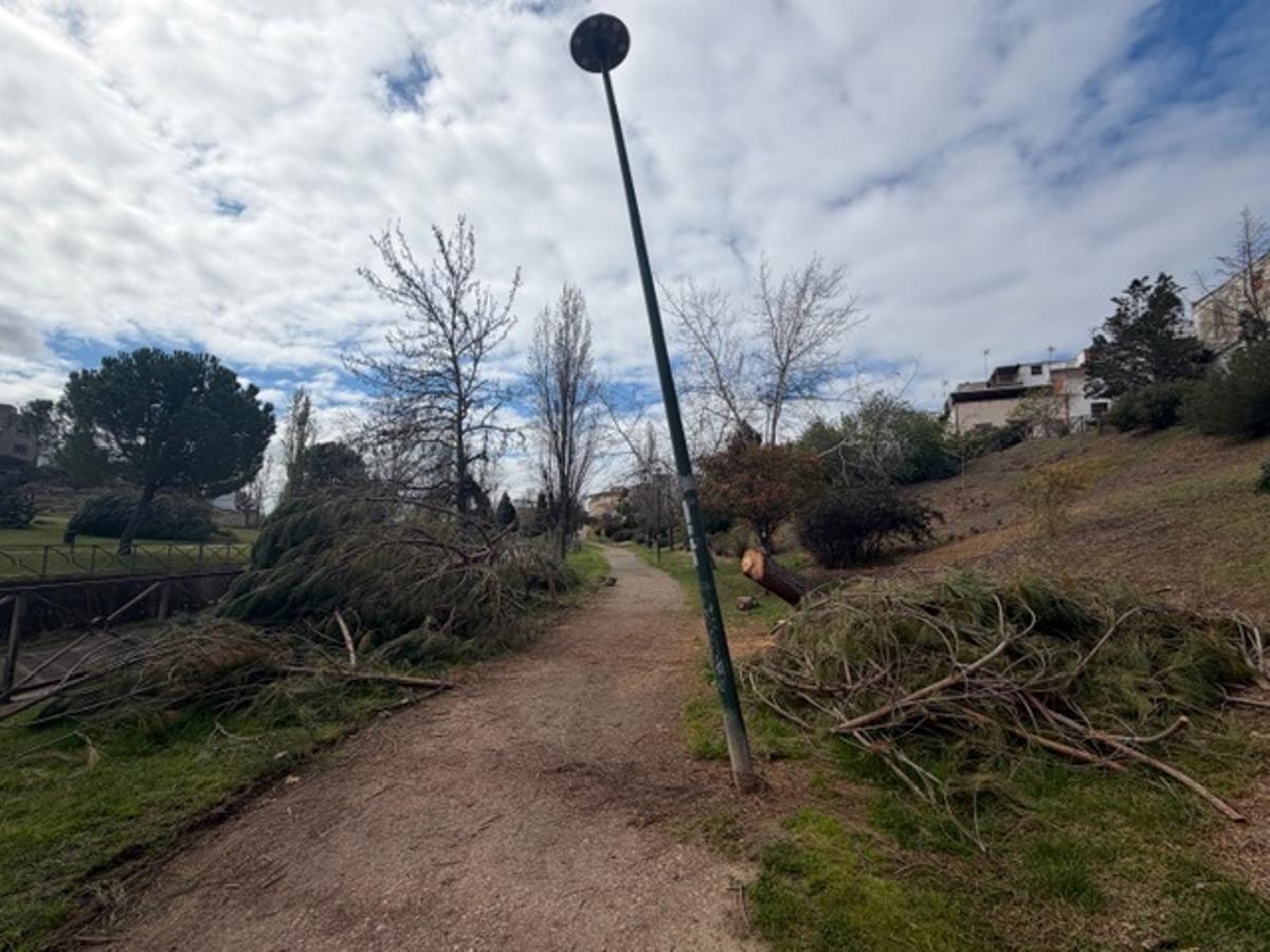 El estado actual del parque.
