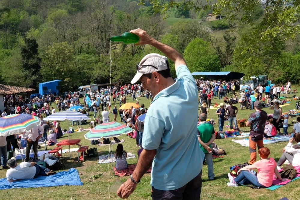 Romería de La Flor en Lena