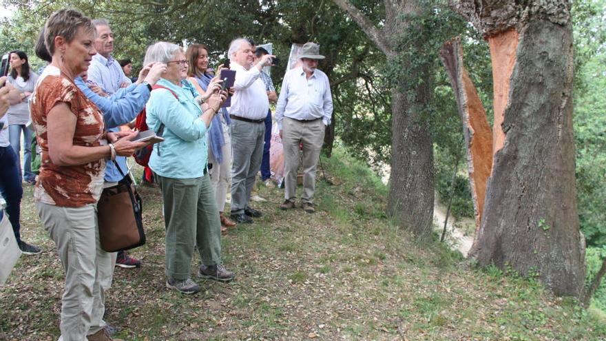 Alguns dels turistes nord-americans que avui han vist com s&#039;extreia el suro en una finca de Forallac · ACN