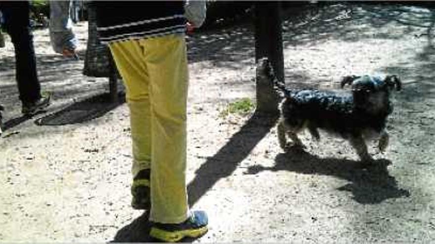 Un gos deixat anar al parc de l&#039;estany, on l&#039;Ajuntament vigila que els propietaris recullin les caques