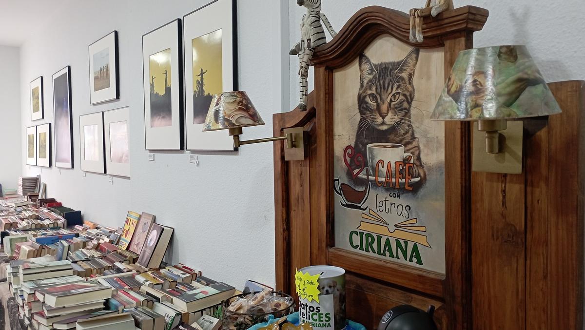 Otra vista del mercadillo navideño de libros solidarios de Ciriana, en la antigua Casa de la Cultura hasta el 5 de enero.