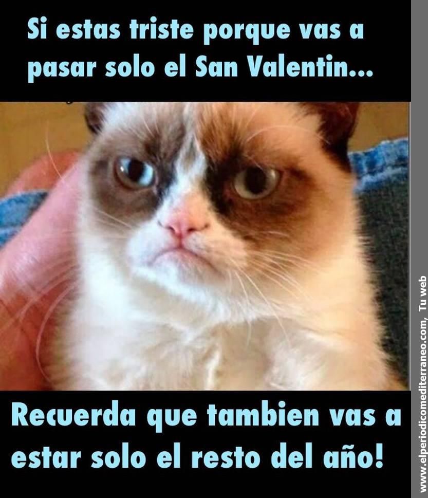 Memes de San Valentin