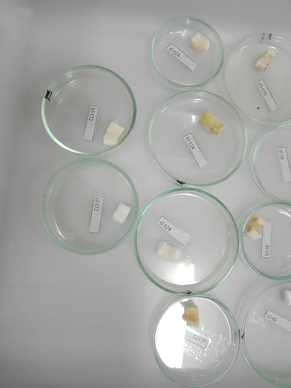 Experimentos con filtros de ciagarros.