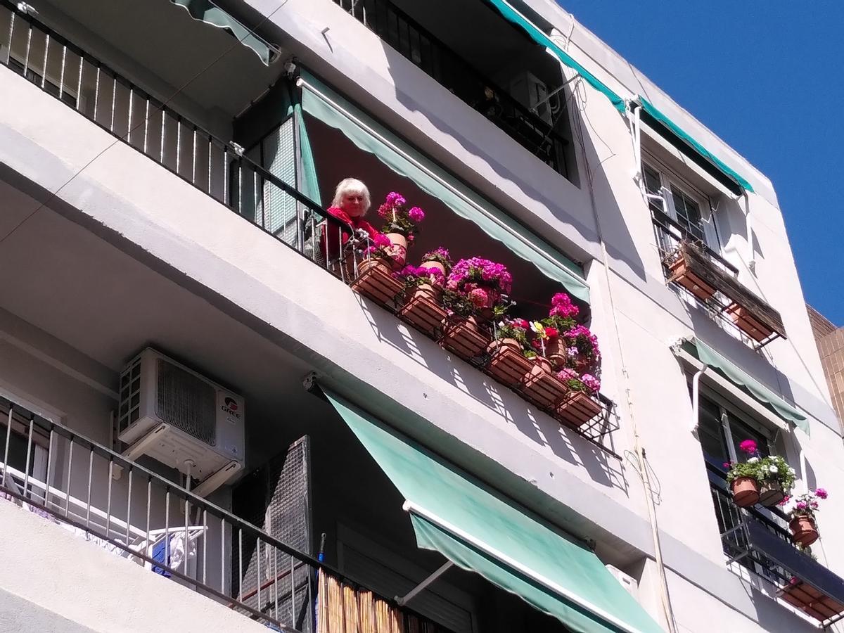 El Pla de Carolinas compite en color: concurso de balcones adornados El Pla de Carolinas compite en color: concurso de balcones adornados