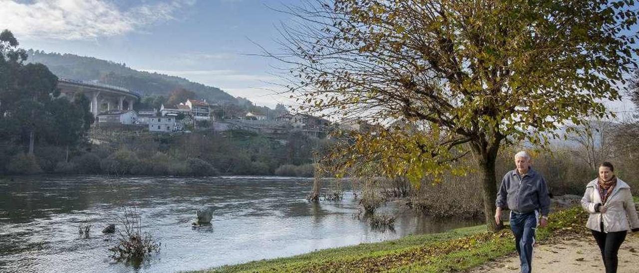 El Miño, con un caudal superior a lo habitual, a su paso por la ciudad de Ourense. // Carlos Peteiro