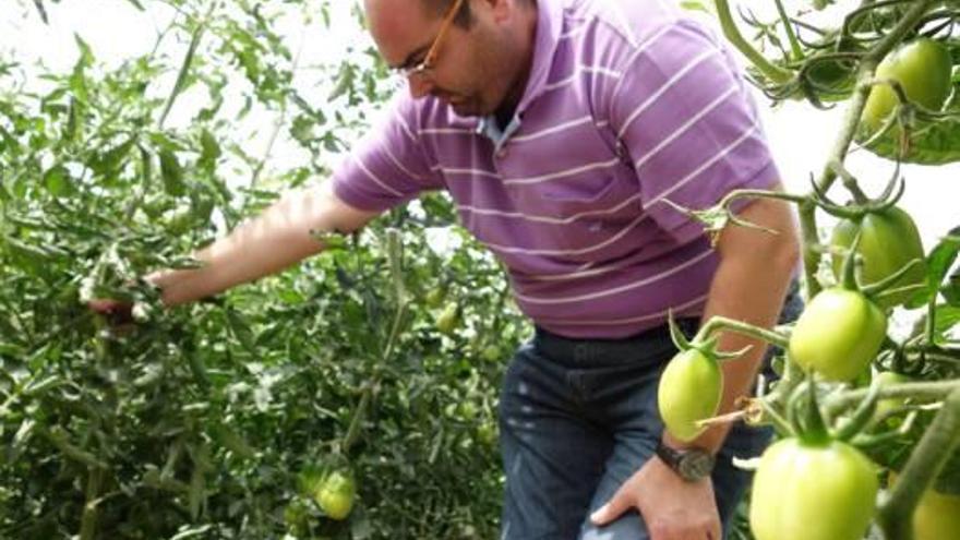 Con el sabor de los tomates de antes