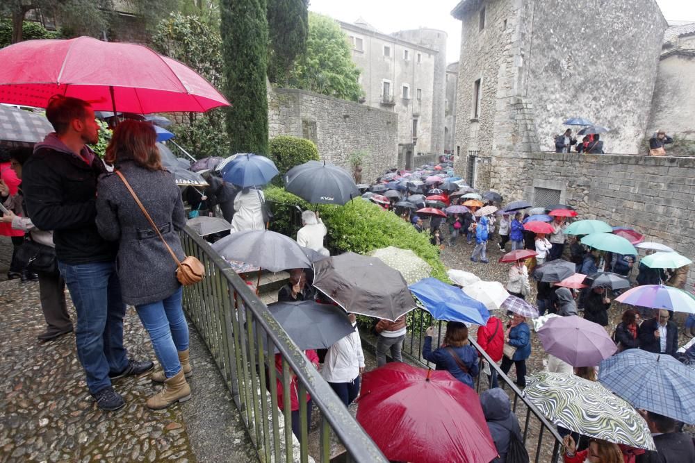 La pluja no desanima l'afluència de públic a «Temps de Flors»
