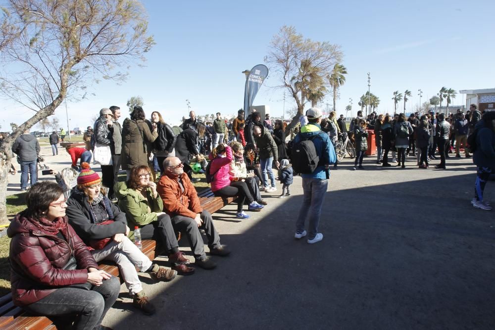 Conciertos en la Pérgola de La Marina