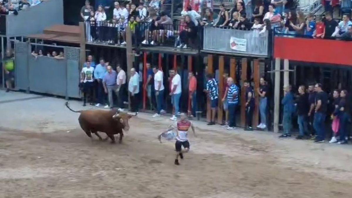 El primer toro de las fiestas patronales de la Soledat destacó por su buen hacer y bravura.