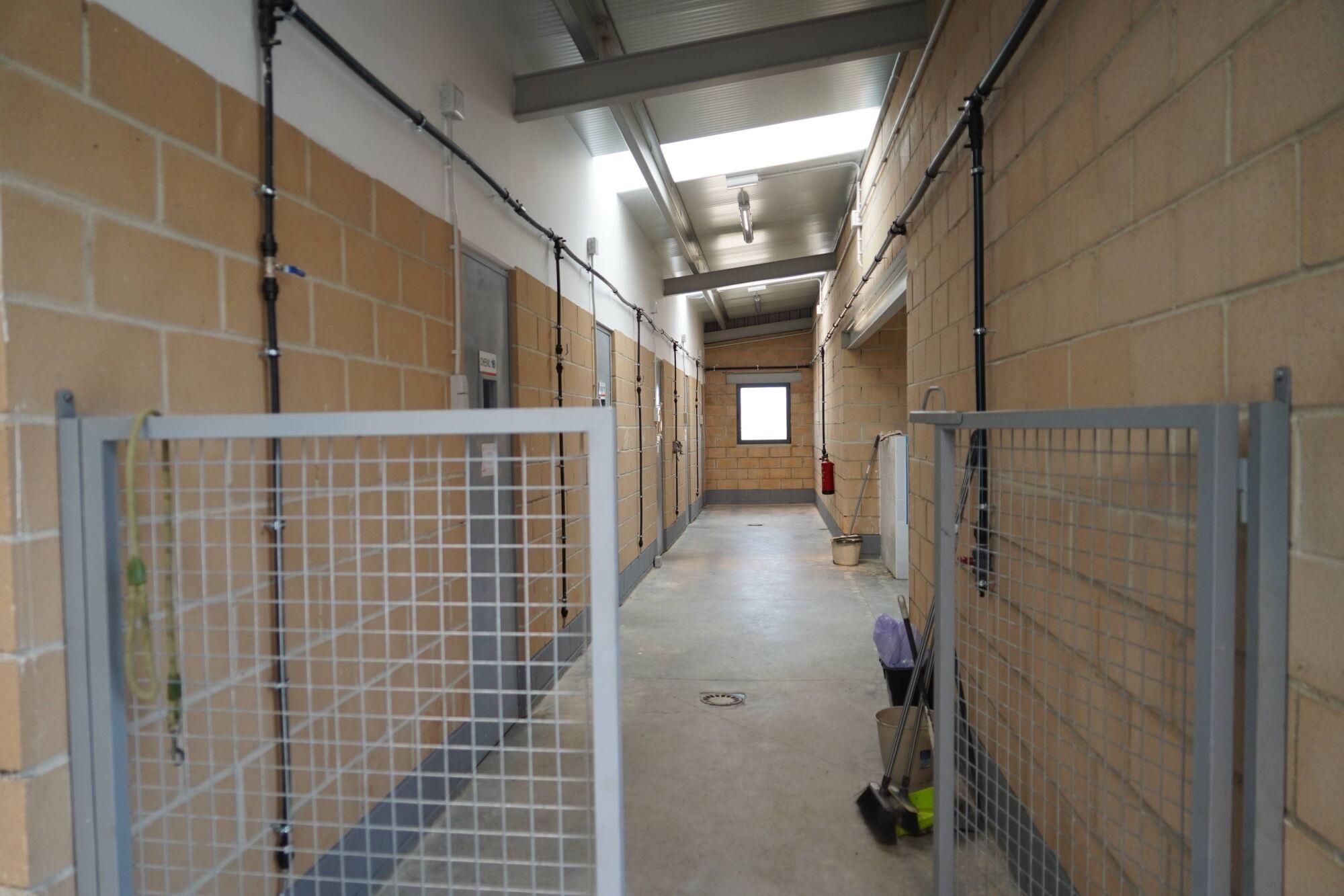 Visita a las instalaciones del nuevo Centro de Protección Animal