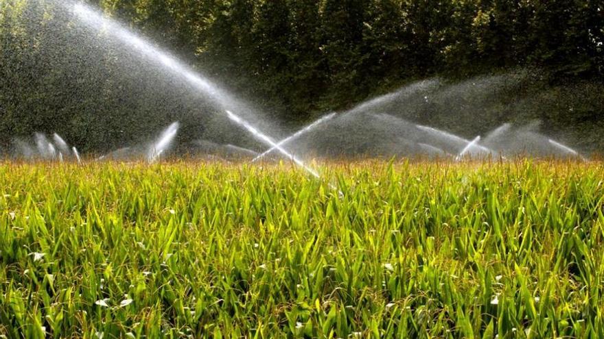 La zona regable de Tierra de Barros se amplía hasta las 46.252,23 hectáreas