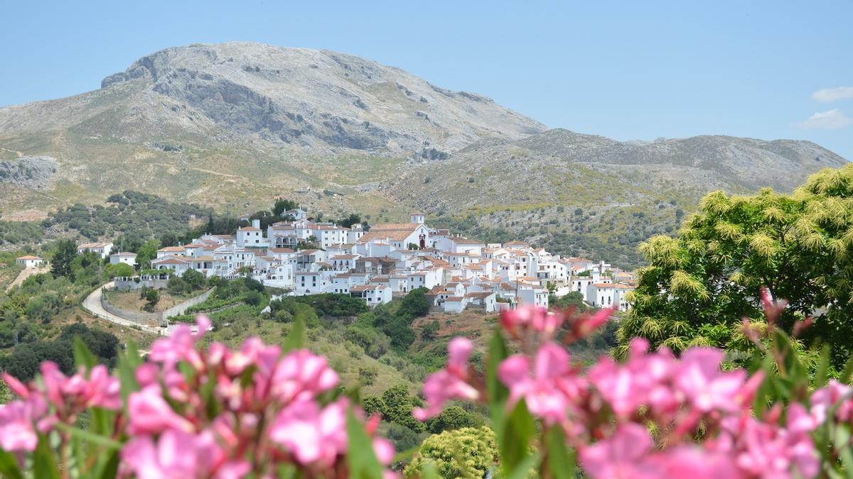 Vista de Cartajima.