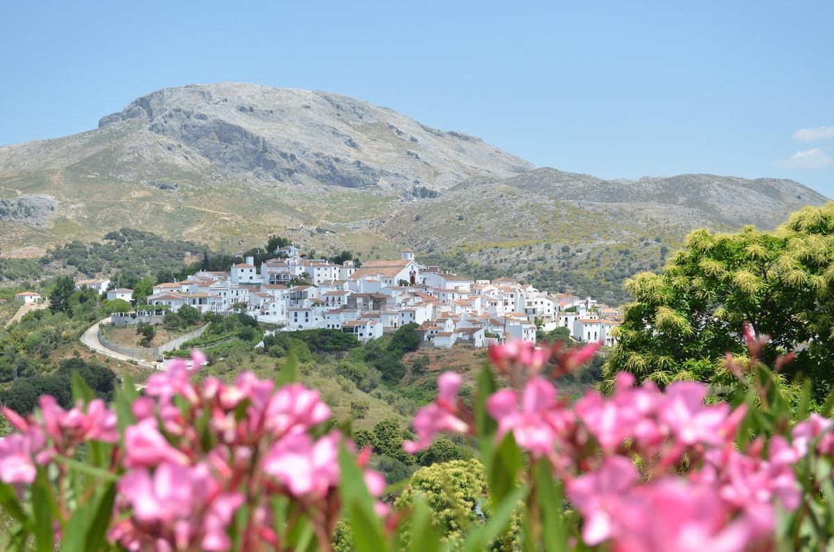 Vista de Cartajima.