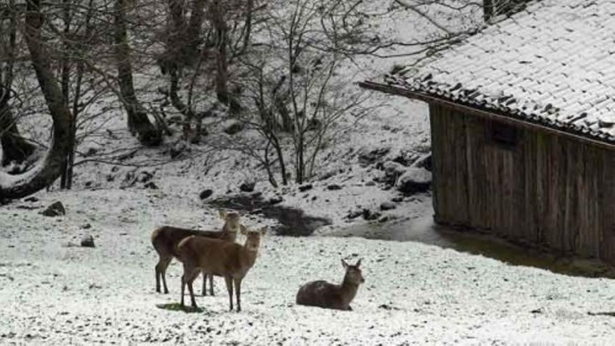 Riesgo de aludes en el Pirineo navarro