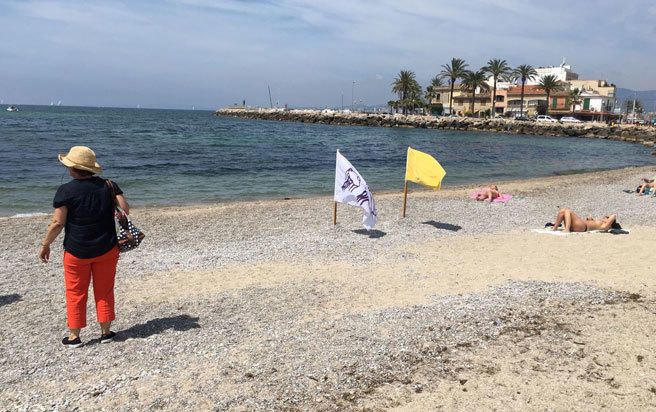 Ein totes Exemplar war am Montag (21.5.) vor der Küste von Palmas Stadtviertel Molinar angeschwemmt worden. Eine Quallenflagge sowie ein gelbe Flagge warnen nun an dem dortigen kleinen Strand s'Arenalet vor der Gefahr.