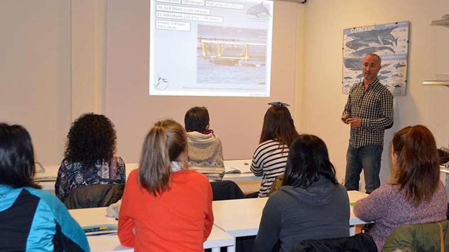 Estudiantes siguiendo delfines a bordo del barco del centro de estudios de los cetáceos. // BDRI