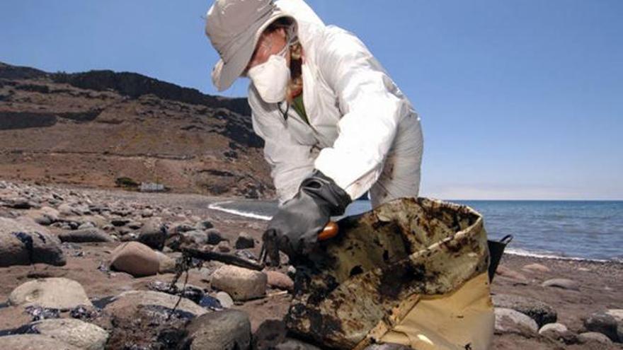 El CSIC señala que se está acabando con la biodiversidad de Canarias