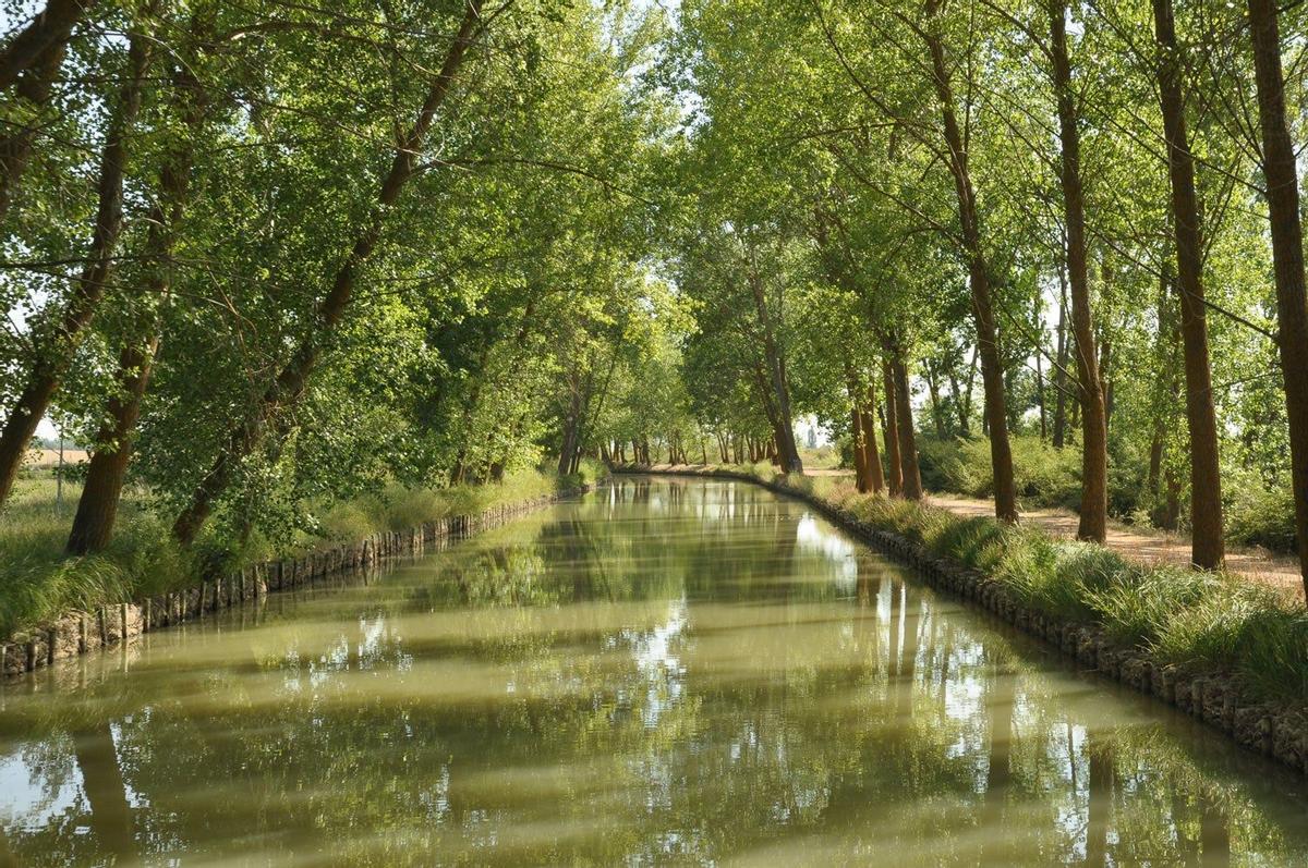 Canal de Castilla, Burgos