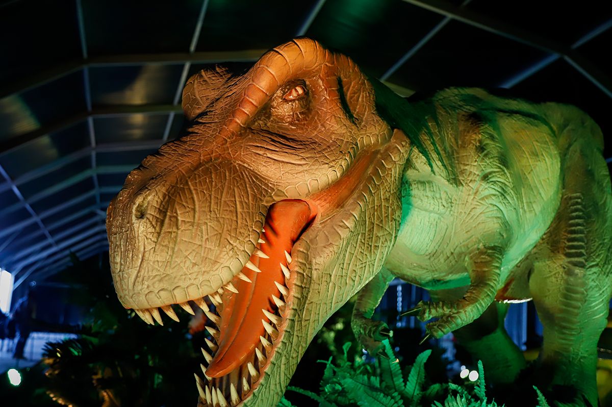 DINO EXPO XXL llega a Córdoba