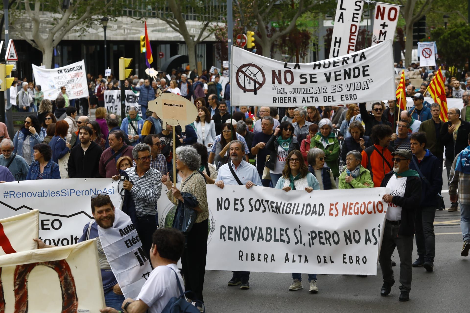 En imágenes | Aragón clama por una instalación consciente de las renovables