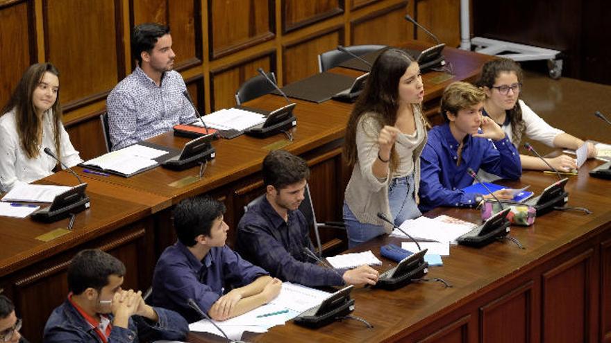 El salón de plenos, una escuela de ciudadanía