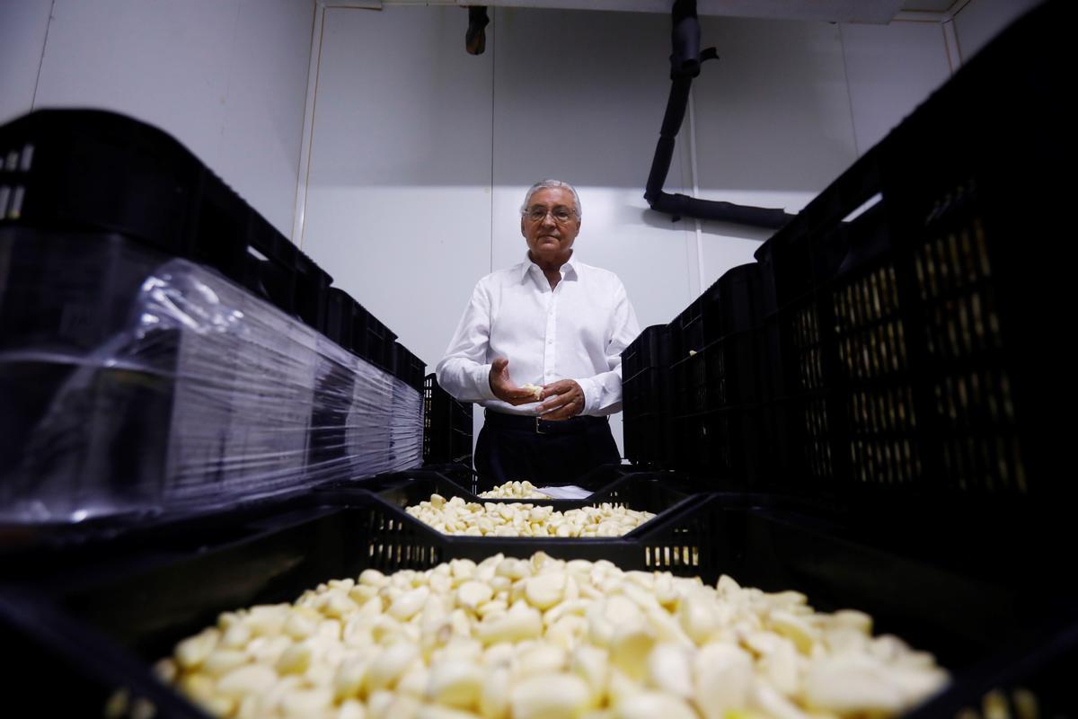 El responsable en la sectorial del ajo de Asaja Córdoba, Miguel del Pino.