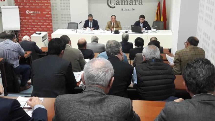 La Cámara prevé unos ingresos de 4,8 millones y sólo 38.700 euros en pérdidas