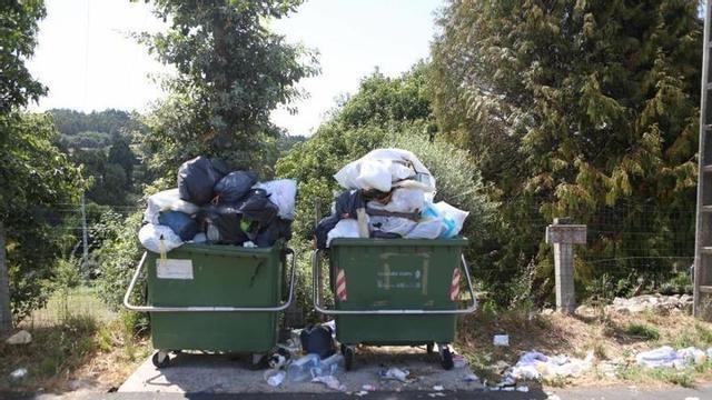 Un gato se esconde entre los dos contenedores llenos de basura.