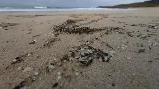Llegan a Canarias restos de 'pellets' como los del vertido