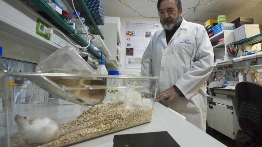 El director del equipo de investigación, Salvador Martínez, en una fotografía de archivo.