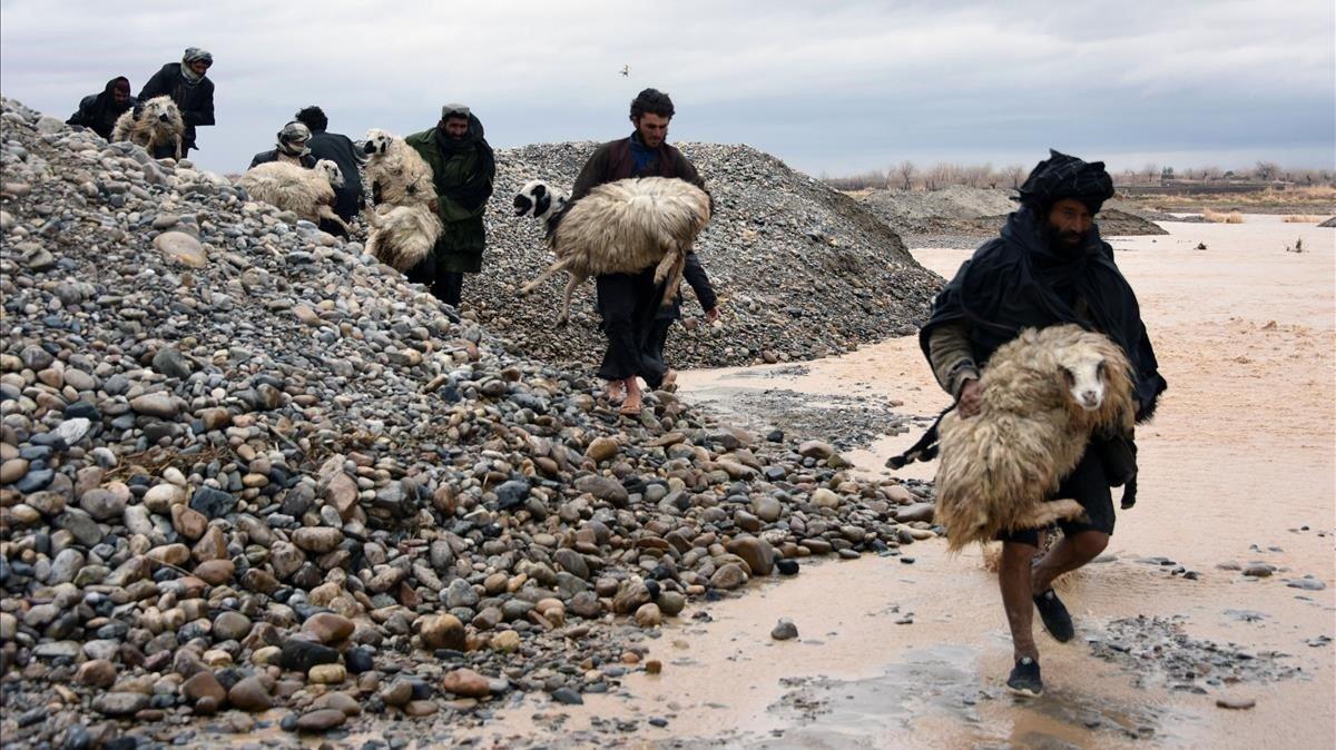 Un grupo de afganos llevan ovejas a lo largo de una zona afectada por la inundación en la provincia de Kandahar. Al menos 20 personas murieron a causa de las inundaciones en la provincia de Kandahar, en el sur de Afganistán.