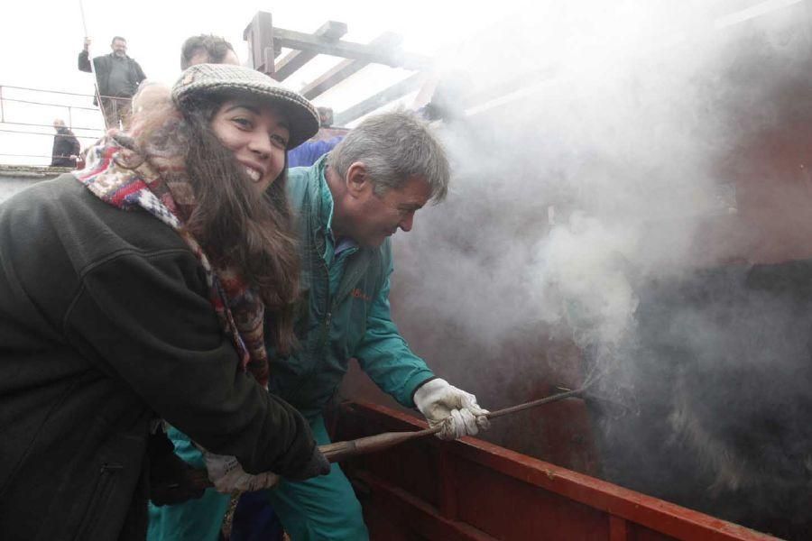 Herradero en Fuentelapeña