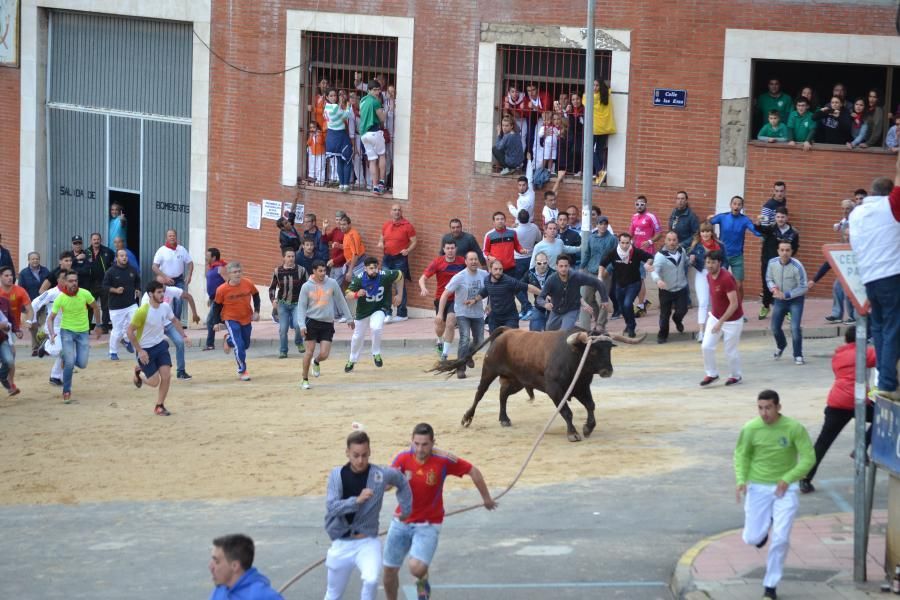 Enmaromado 2016: Lechugazo da la talla