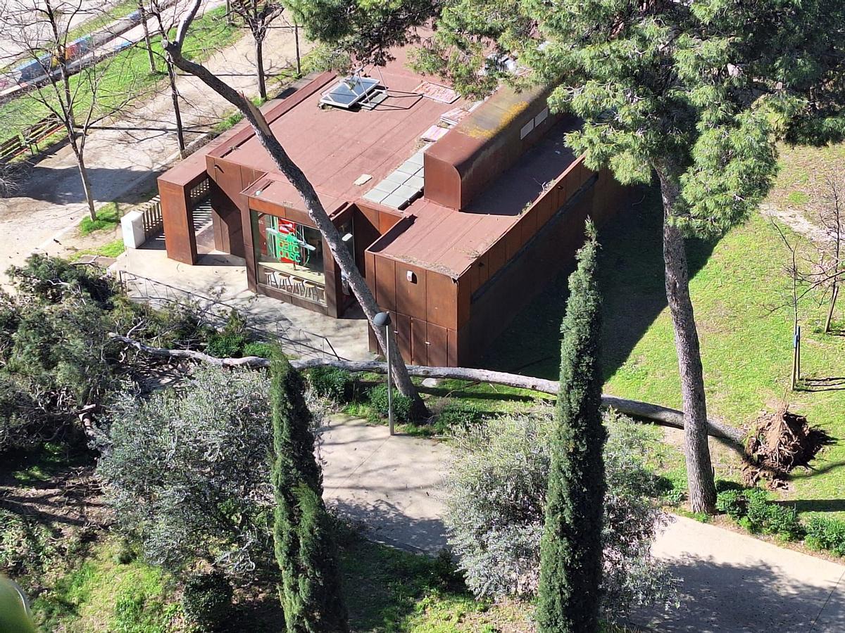 A Figueres, diumenge al matí van caure diversos pins i branques de grans dimensions al Parc Bosc-