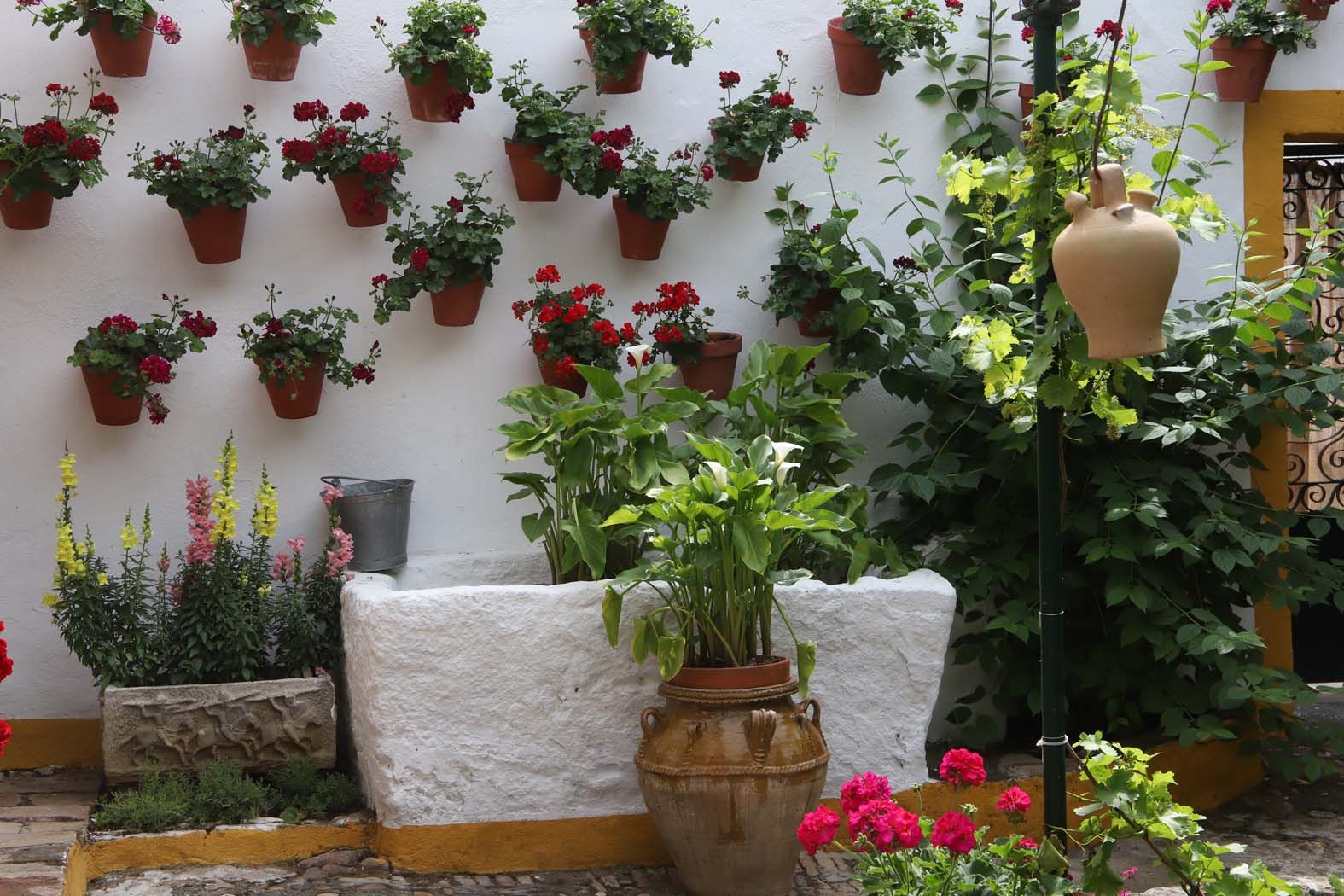 Arranca el concurso de patios del centenario