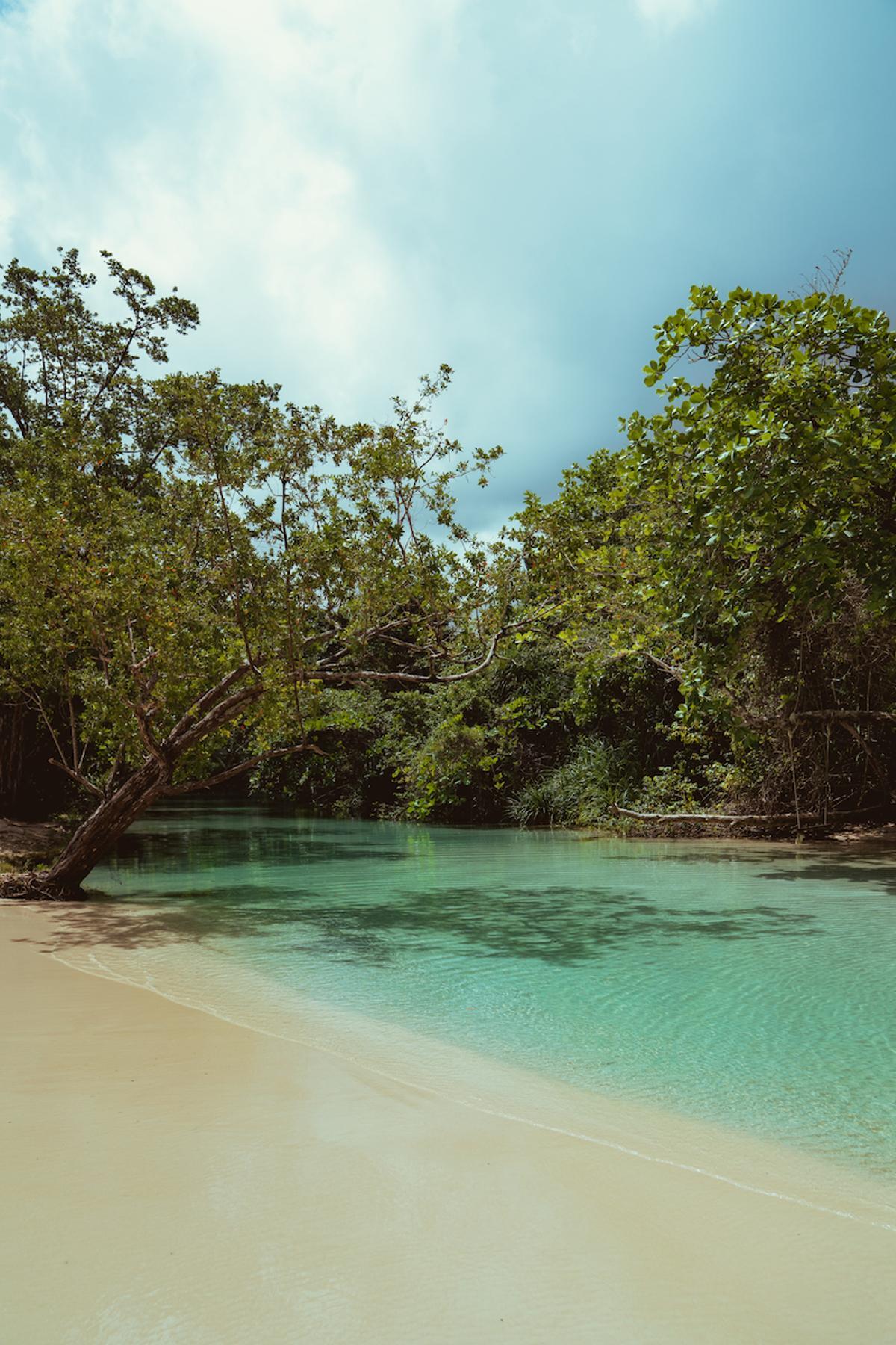 Aguas transparentes y turquesas en Frenchman's Cove.