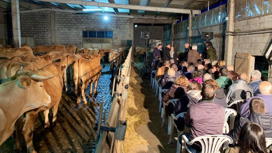 El conselleiro de Medio Rural, dando un mitin en una cuadra en Sarria // TW