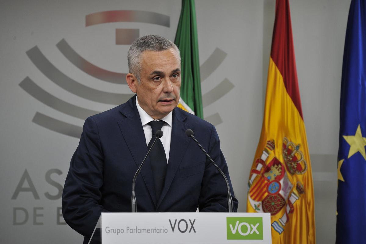 El portavoz de Vox, Ángel Pelayo Gordillo, este martes.