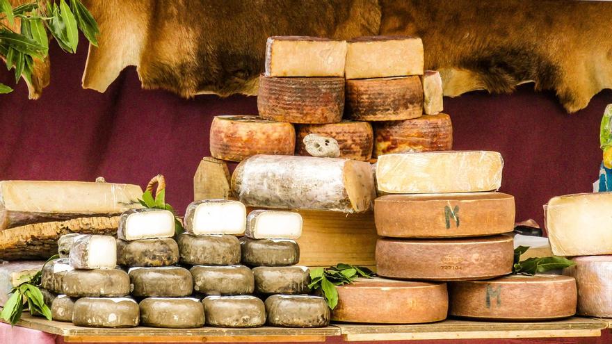 Un queso artesano de Huesca compite por ser el mejor de España