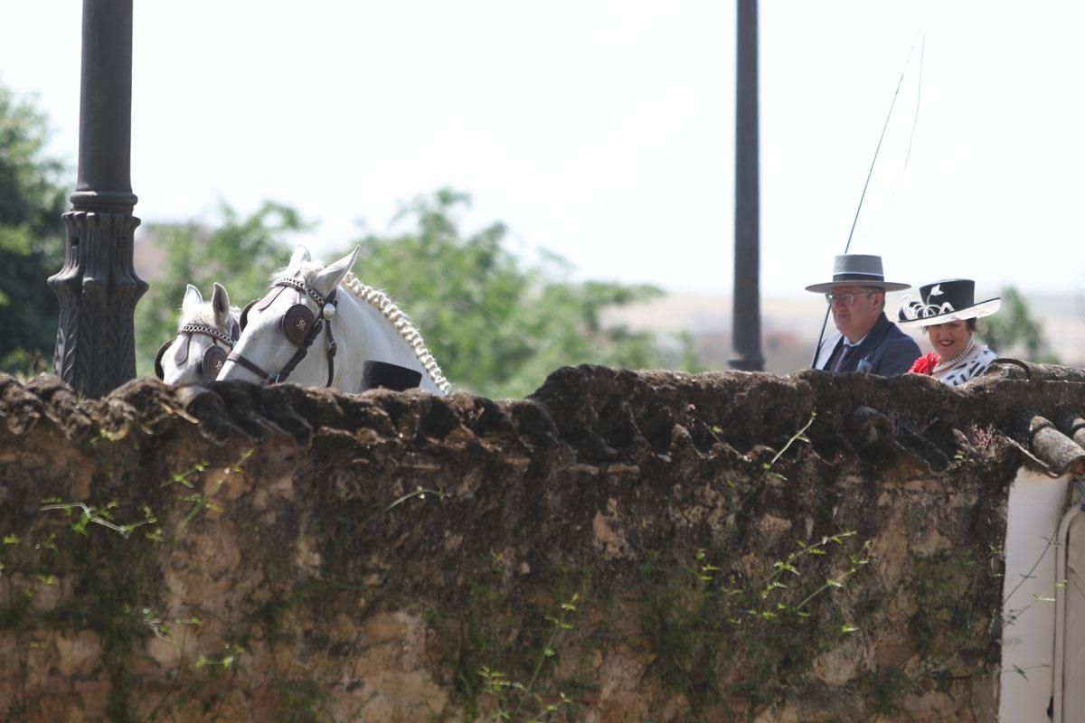 Exhibición de enganches en El Arenal