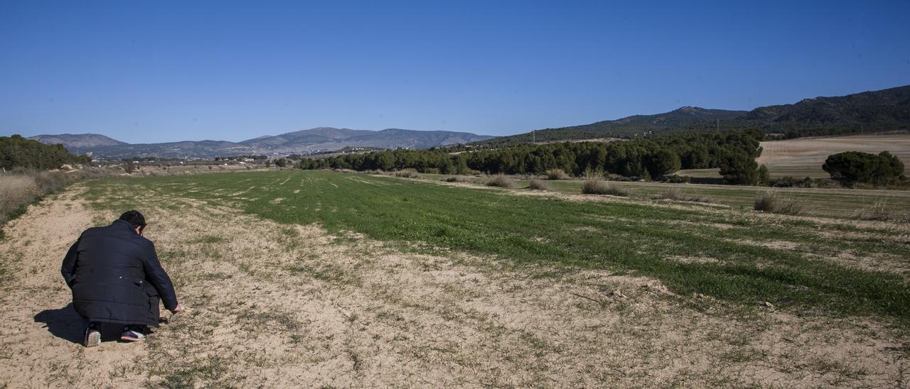 Ubicación aproximada de parte de los terrenos donde iría la planta solar de Castalla, junto a la carretera CV-805 en dirección a Ibi.