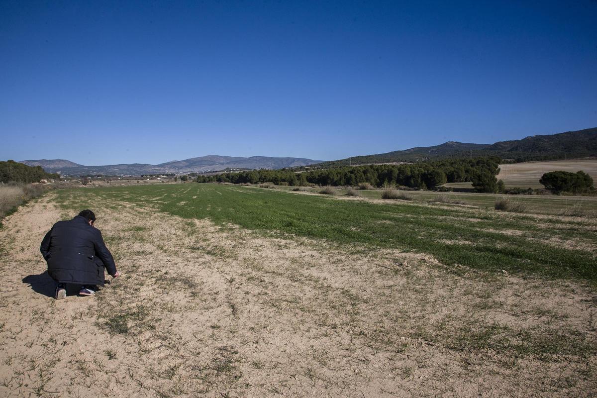 Ubicación aproximada de parte de los terrenos donde iría la planta solar de Castalla, junto a la carretera CV-805 en dirección a Ibi.