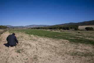 El Gobierno permite una macroplanta solar de 206 hectáreas en Castalla