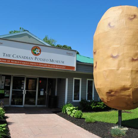 ¿Fan de las patatas? Entonces tienes que visitar estos museos