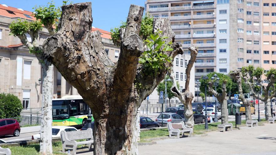 Vecinos de la depuradora revientan el pleno con bombas fétidas e insultos a  los concejales - Faro de Vigo